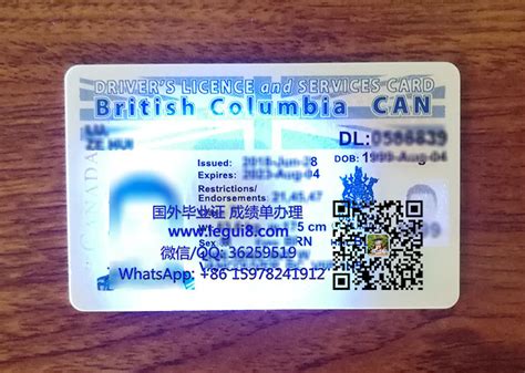 How to Order 80/20 BC Canada .